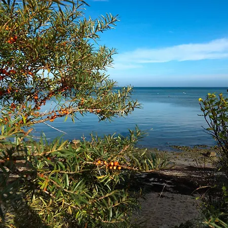 Apartment Gollwitzer Park Ableger Poel